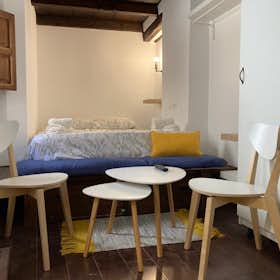 Apartament de închiriat pentru 750 EUR pe lună în Granada, Calle San Juan de los Reyes