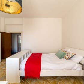 Shared room for rent for €440 per month in Florence, Viale dei Mille