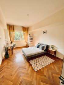 Private room for rent for €840 per month in Milan, Via Domenichino