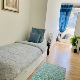 Private room for rent for €740 per month in Milan, Viale Coni Zugna