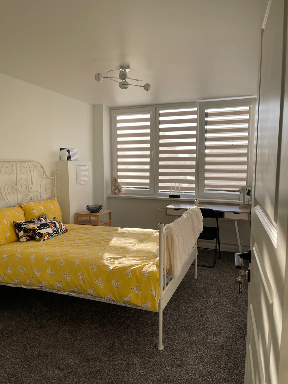 Studentų gatvė, Kaunas preview