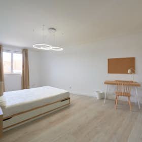 Private room for rent for €650 per month in Lisbon, Rua de São Bernardo