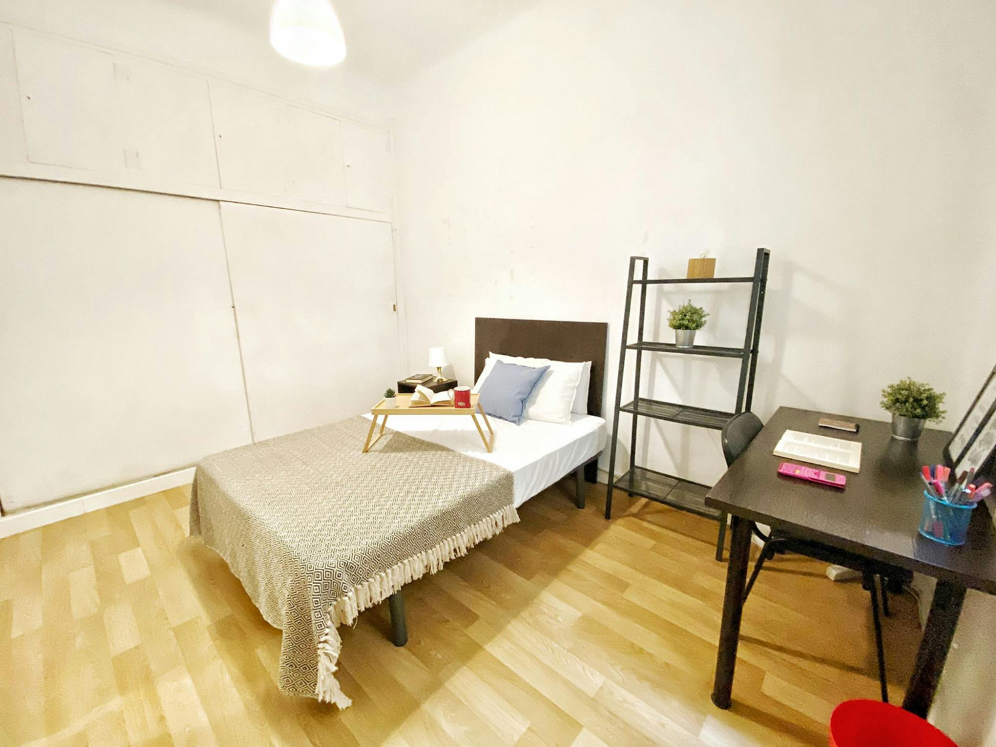 Single room Madrid — photo 4