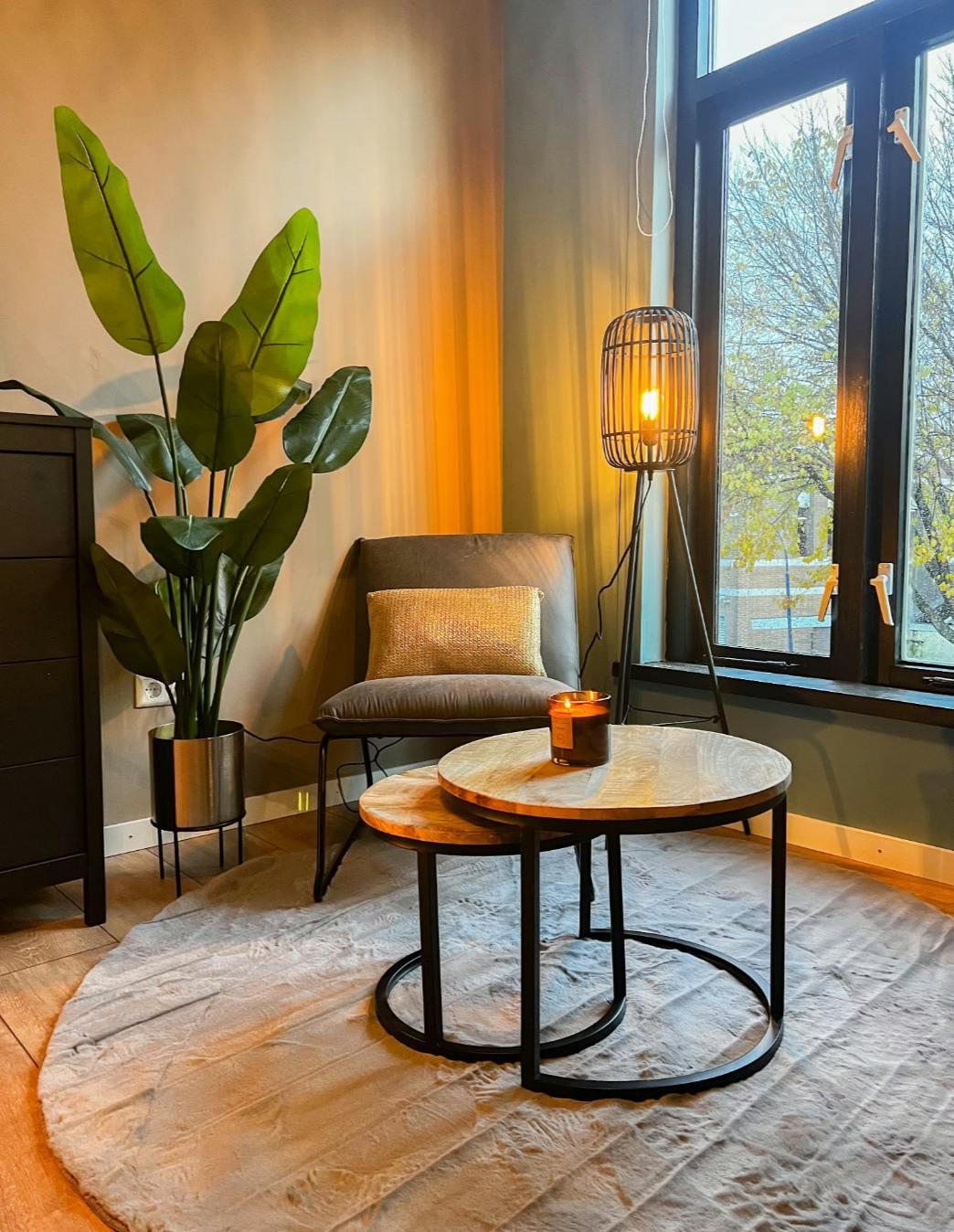 Apartment Schiedam — photo 4