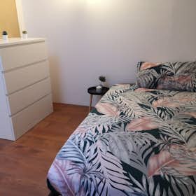 Shared room for rent for €1,090 per month in Milan, Via Generale Gustavo Fara