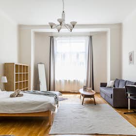 Private room for rent for HUF 171,139 per month in Budapest, Szófia utca