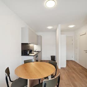 Wohnung for rent for 700 € per month in Graz, Waagner-Biro-Straße