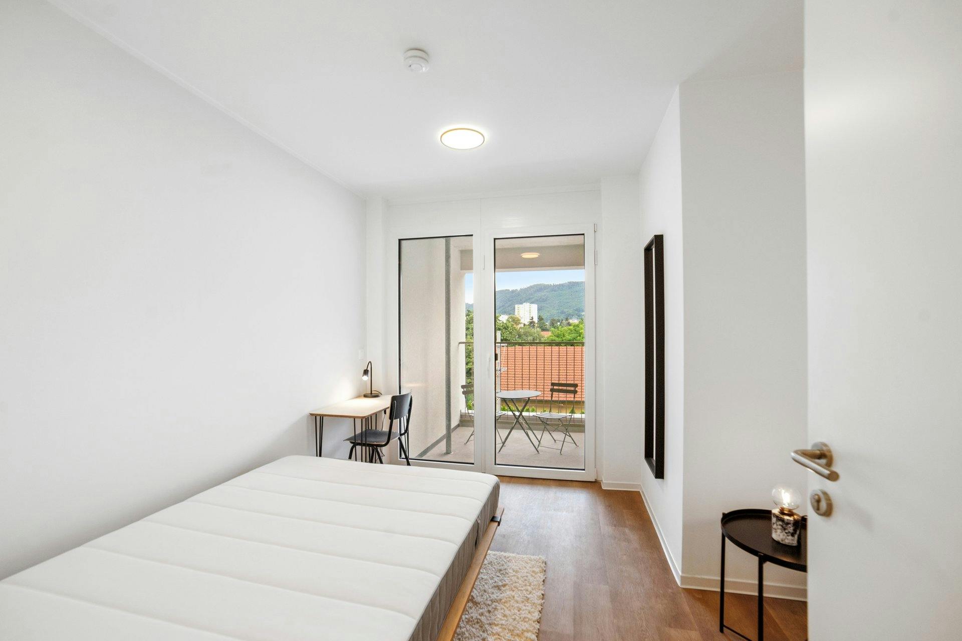Private room in Waagner-Biro-Straße, Graz (1398879) room image 1