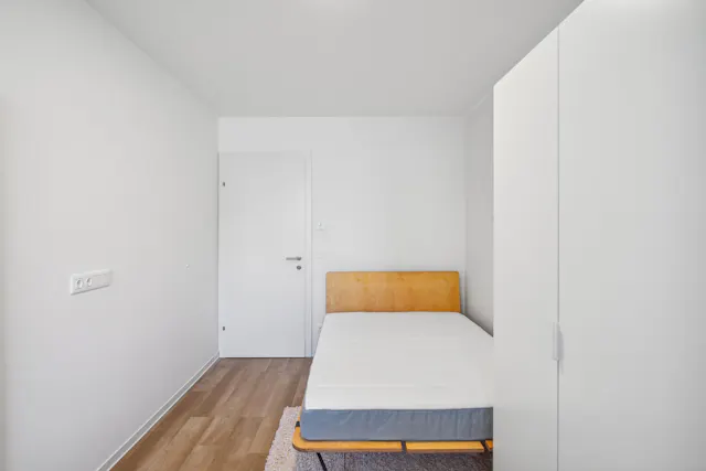 Private room in Waagner-Biro-Straße, Graz (1398955) room image 2