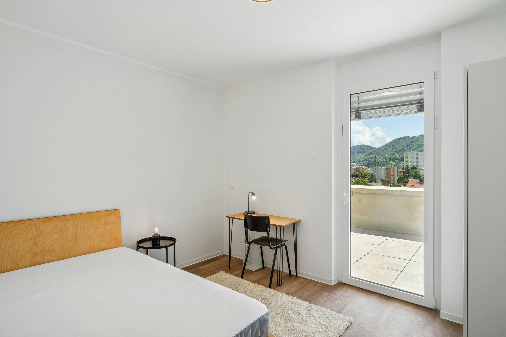 Waagner-Biro-Straße, Graz preview