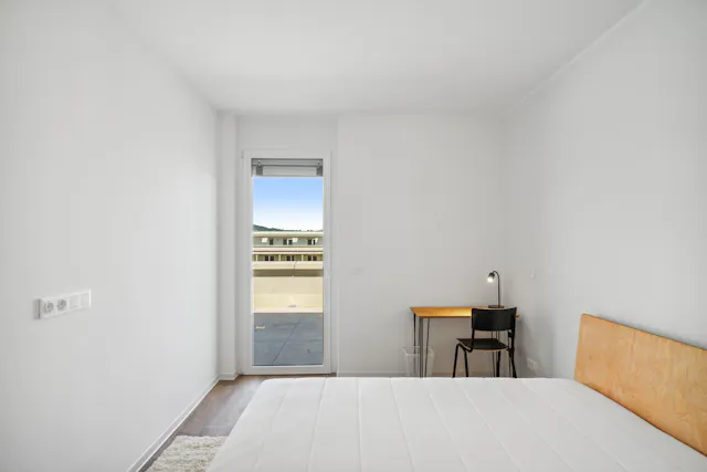 Private room in Waagner-Biro-Straße, Graz (1398989) room image 1