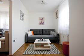 单间公寓 正在以 €850 的月租出租，其位于 Ljubljana, Andreaševa ulica