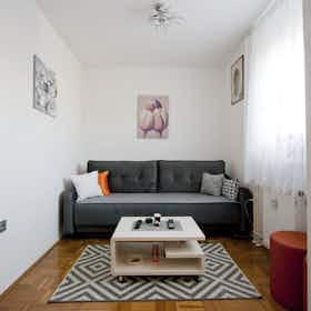 Studio for rent for €850 per month in Ljubljana, Andreaševa ulica
