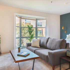 单间公寓 正在以 $3,548 的月租出租，其位于 San Francisco, Brannan St