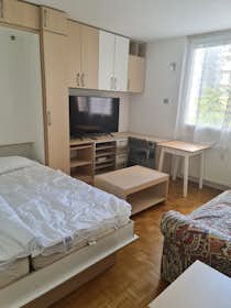 Monolocale in affitto a 800 € al mese a Ljubljana, Trg komandanta Staneta