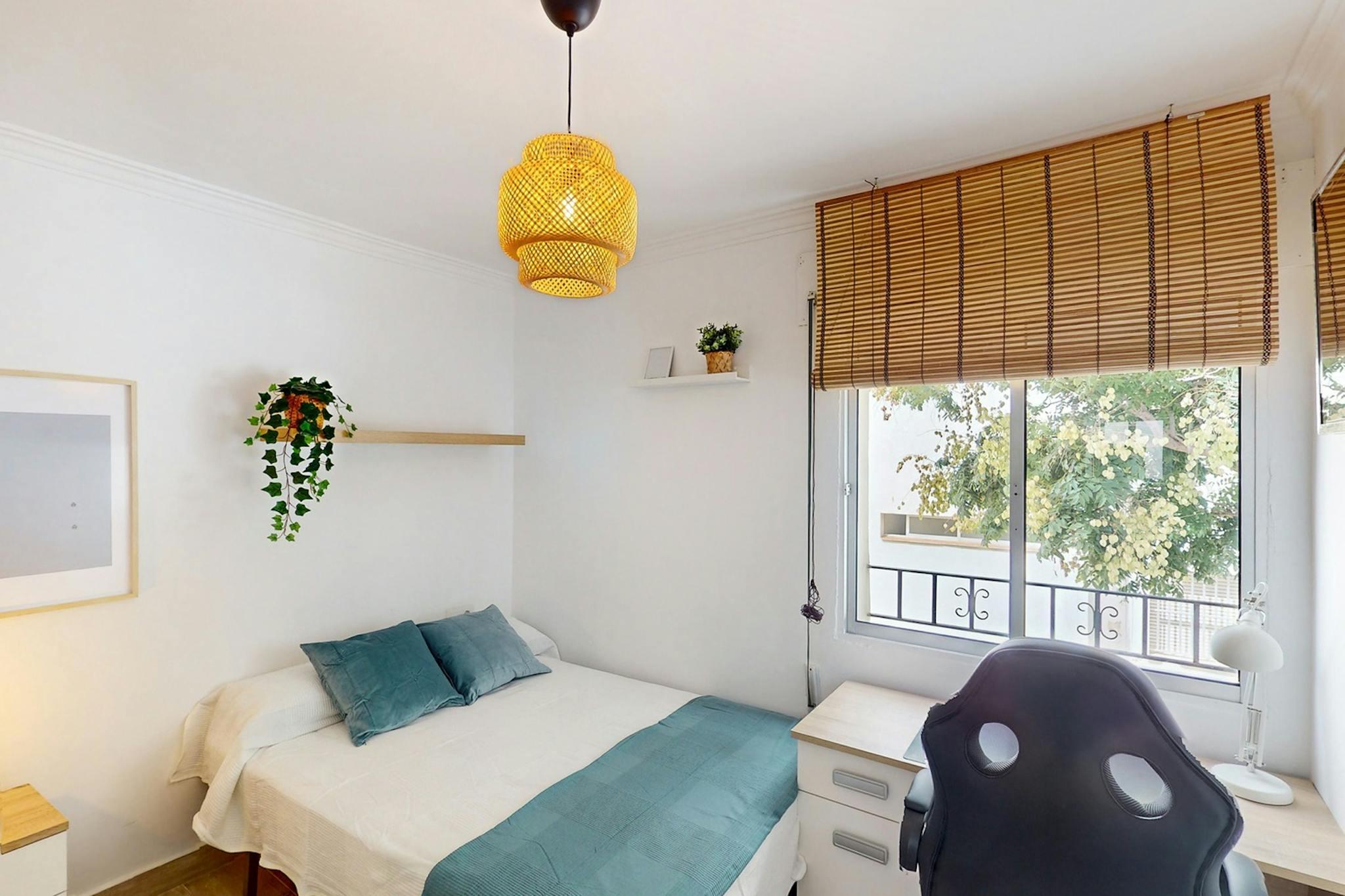 Avenida del Amontillado, Jerez de la Frontera preview