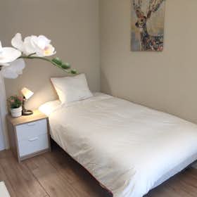 Private room for rent for €520 per month in Madrid, Calle del Monte Olivetti