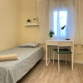 Private room for rent for €380 per month in Madrid, Calle de Caunedo