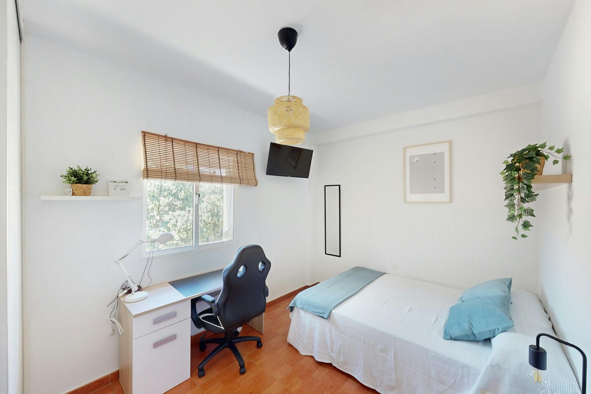 Paseo Las Delicias, Jerez de la Frontera preview