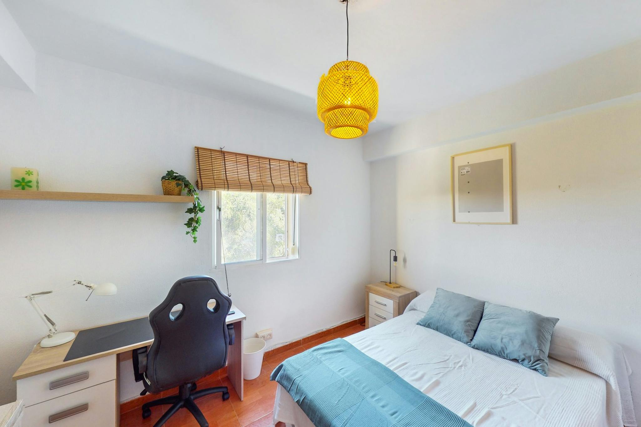 Paseo Las Delicias, Jerez de la Frontera preview