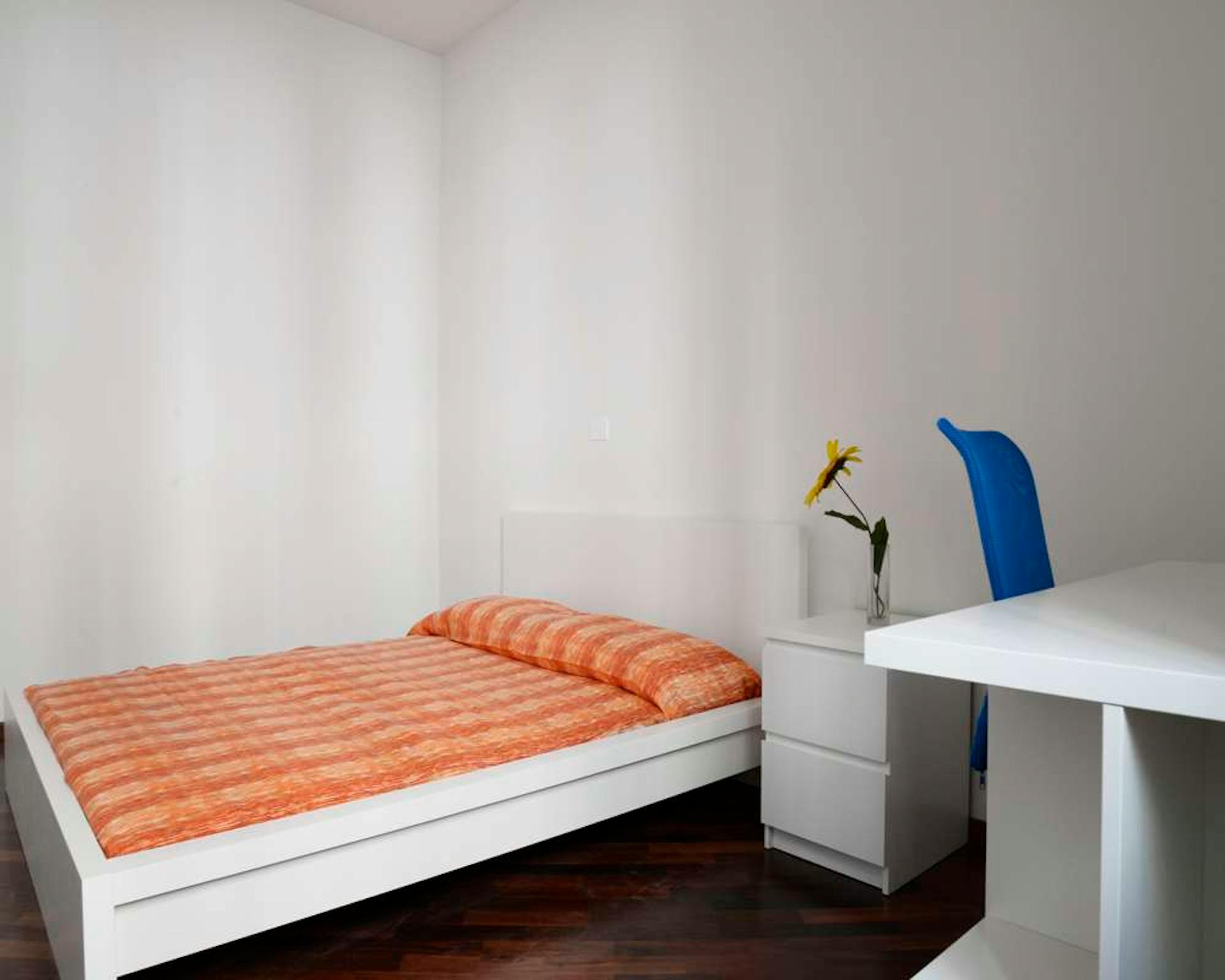 Via Angelo Mauri, Milan preview