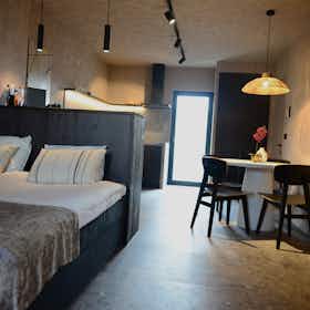 Apartment for rent for €1,950 per month in Antwerpen, Nieuwstad