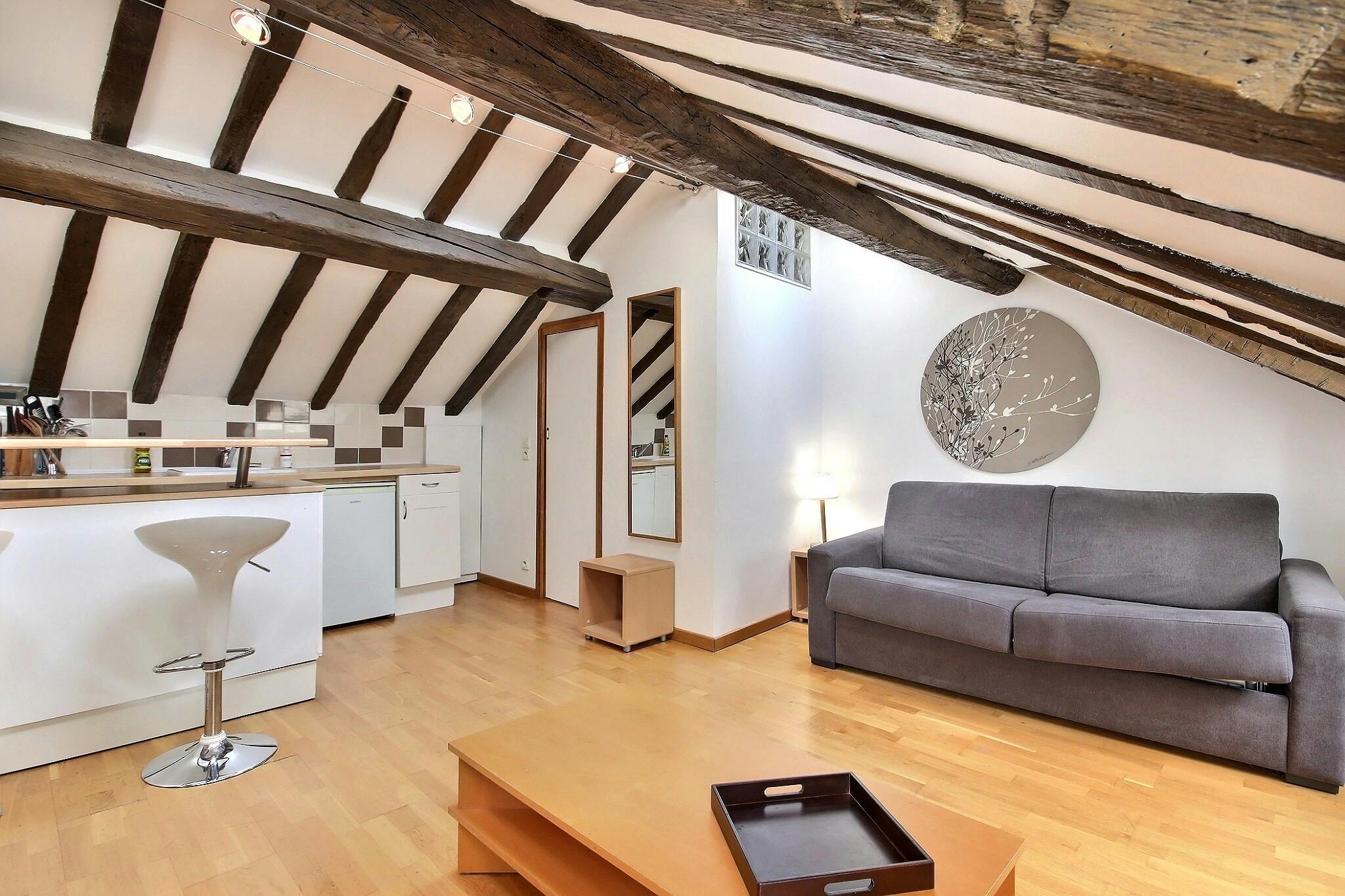 Rue de Turenne, Paris preview
