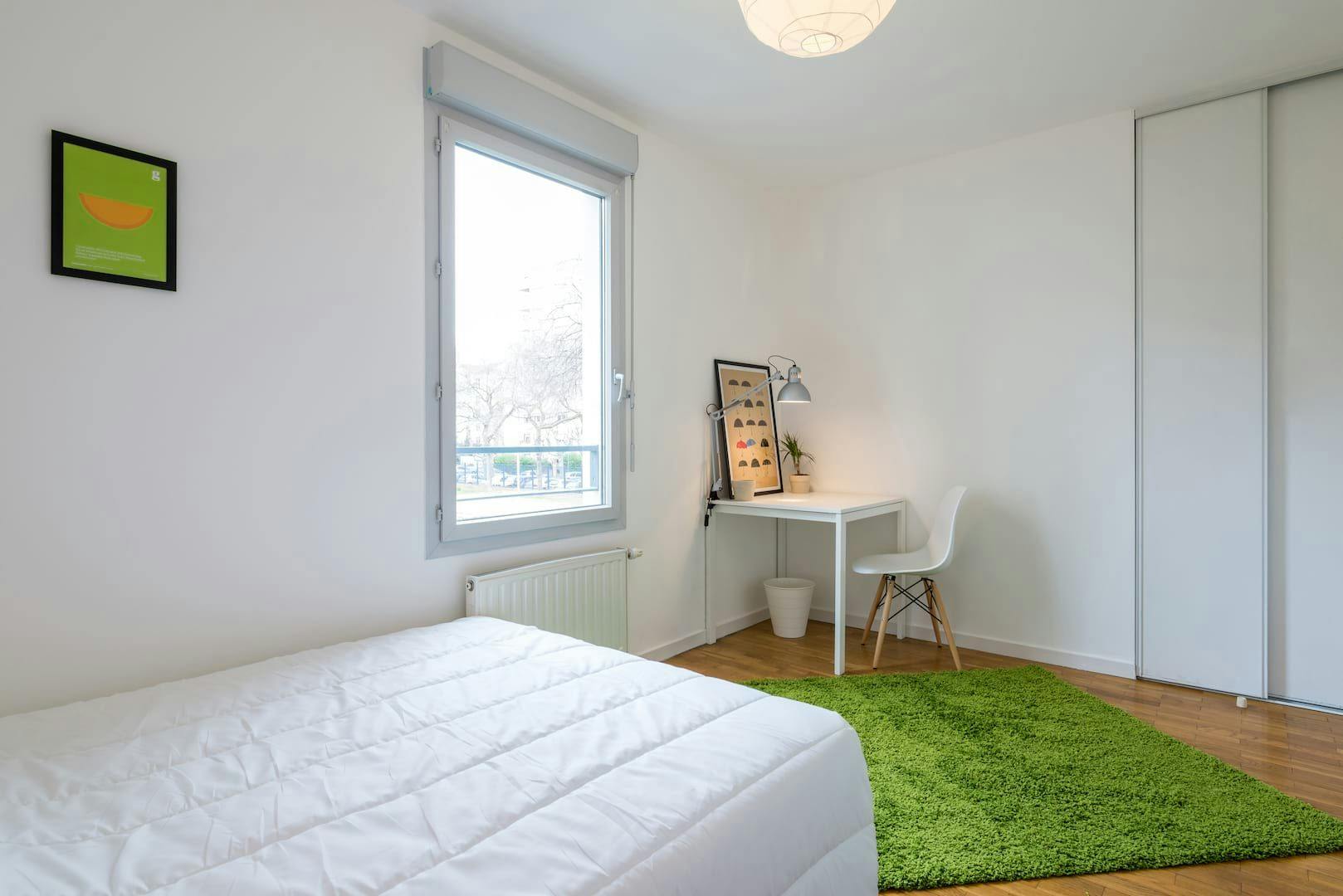 Private room for rent on Avenue Debourg, Lyon - Aanzicht 3