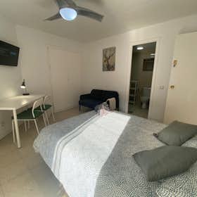 Private room for rent for €620 per month in Madrid, Calle de las Marismas