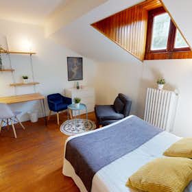 Private room for rent for €538 per month in Toulouse, Boulevard du Maréchal Leclerc
