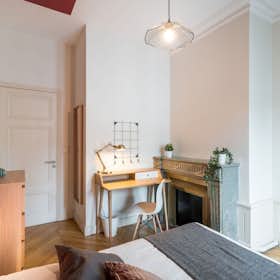 Private room for rent for €730 per month in Lyon, Rue de la République