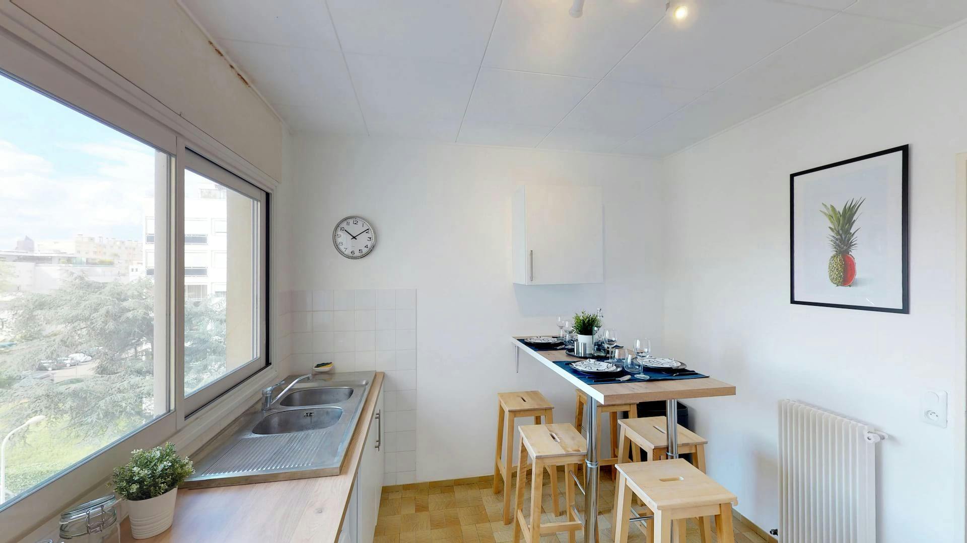 Single room Lyon, 16m² — photo 5