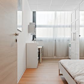 Private room for rent for €605 per month in Milan, Via Privata Deruta
