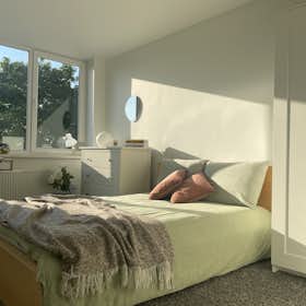 Отдельная комната сдается в аренду за 350 € в месяц в Kaunas, Studentų gatvė