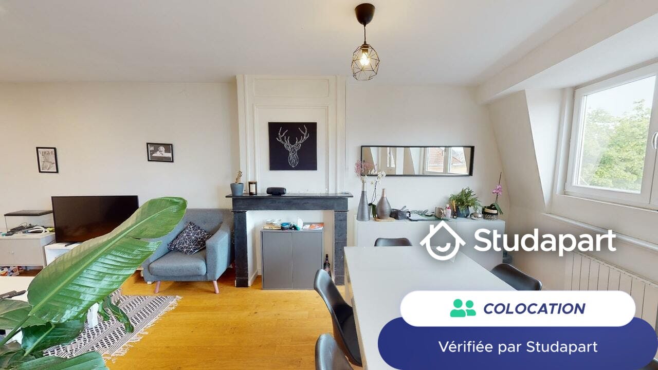 Private room for rent on Place Catinat, Lille – pohled 5