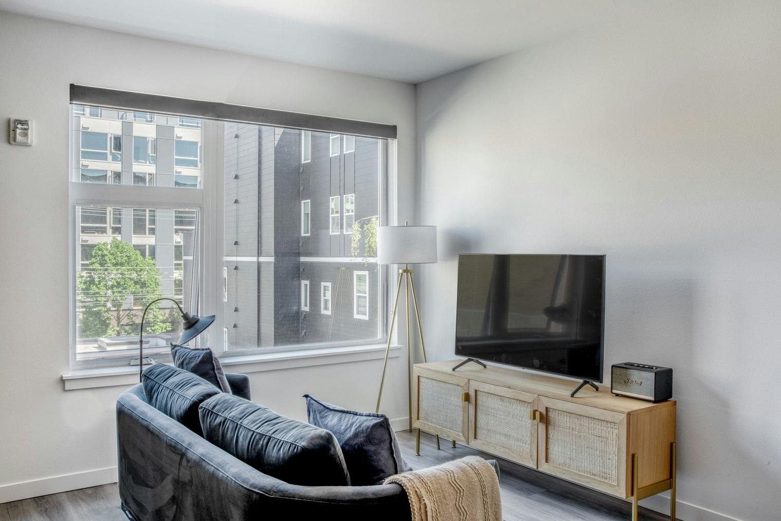 Studio à louer pour $4,546/mois à Seattle, Belmont Avenue