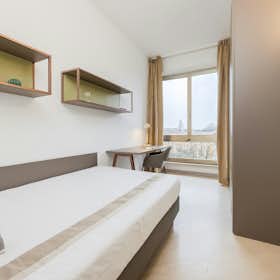Stanza privata in affitto a 528 € al mese a Ferrara, Viale Camillo Benso di Cavour