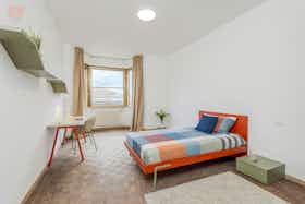 Privé kamer te huur voor € 627 per maand in Ferrara, Viale Camillo Benso di Cavour