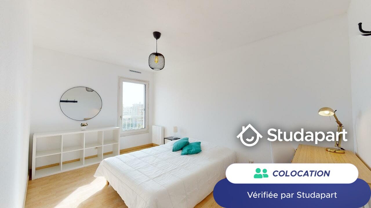 Private room for rent on Rue Challemel-Lacour, Lyon