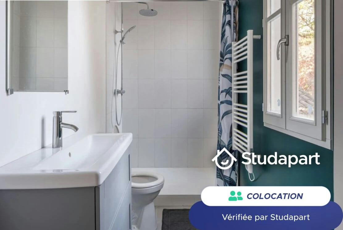 Private room for rent on Rue des Douves, Bordeaux - Vue 5
