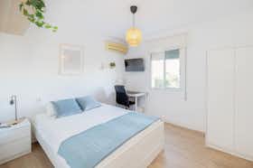 Privé kamer te huur voor € 275 per maand in Jerez de la Frontera, Plaza Los Pinos