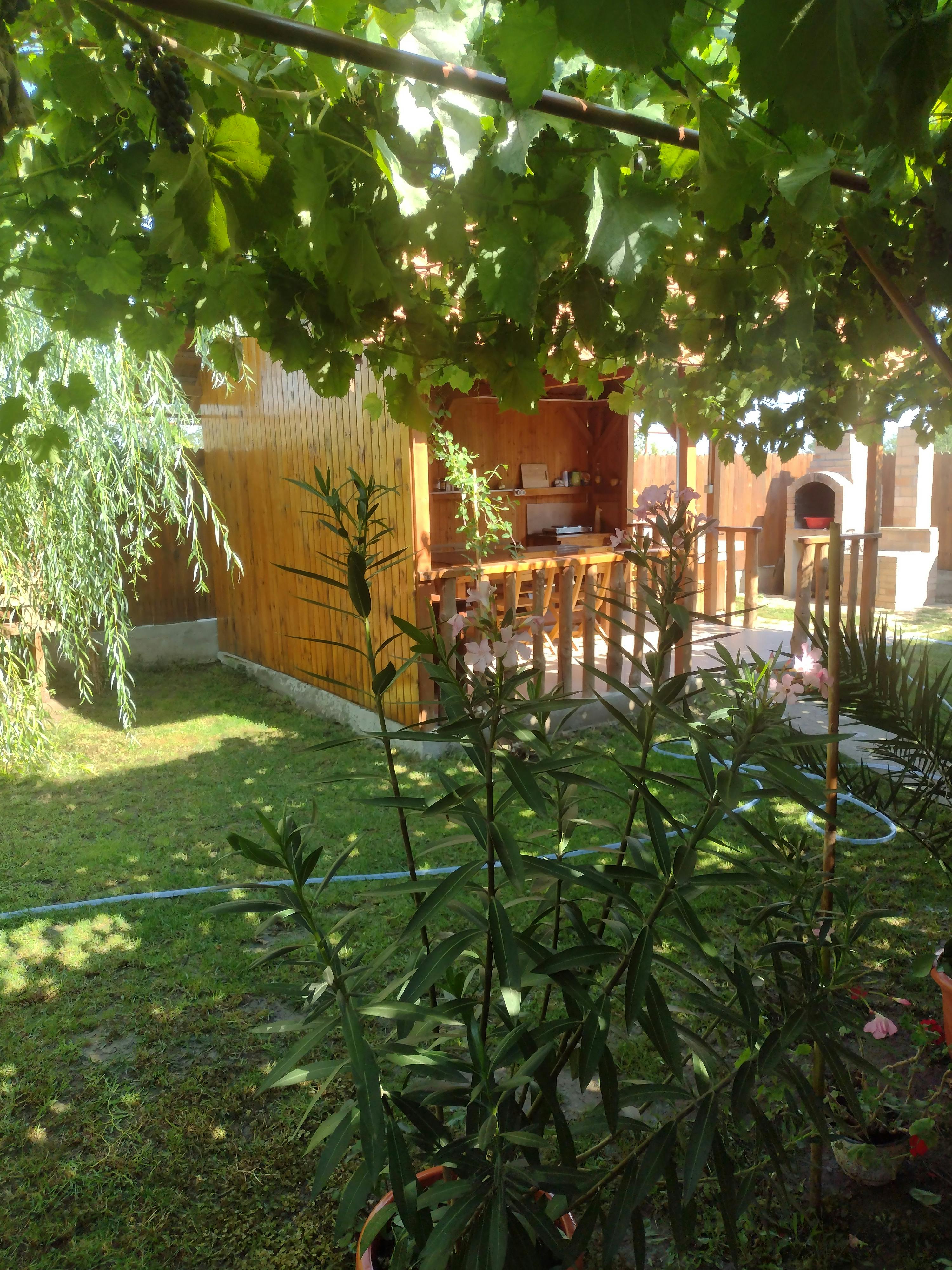 House for rent for RON 8,670 per month in Jurilovca, Strada Zorilor