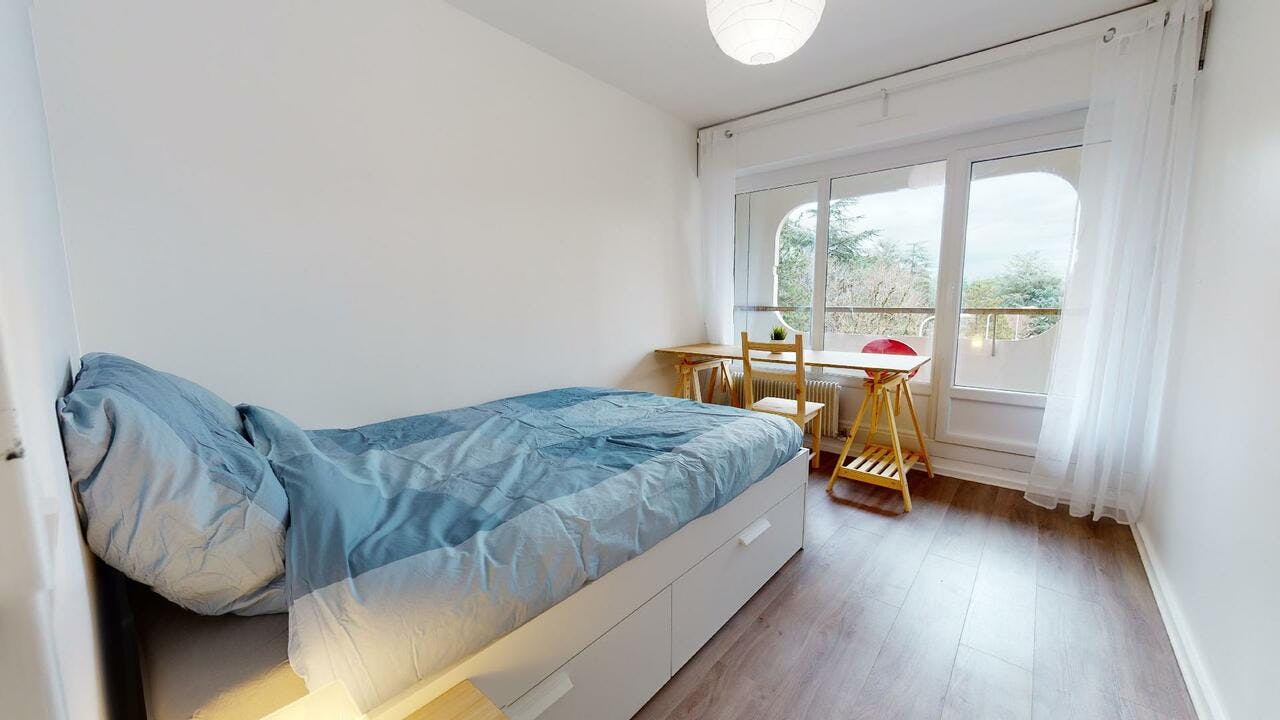 Private room for rent on Rue Professeur Patel, Lyon