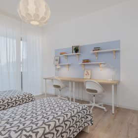 Shared room for rent for €300 per month in Padova, Via Tirana