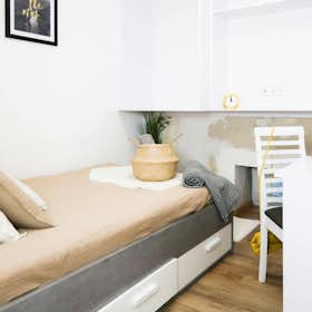 Private room for rent for €340 per month in Budapest, József körút