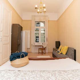 Private room for rent for HUF 149,568 per month in Budapest, Kazinczy utca