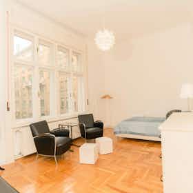 Private room for rent for HUF 155,338 per month in Budapest, Balzac utca