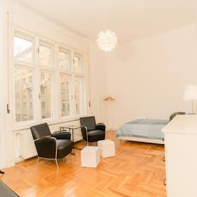 Private room for rent for HUF 155,581 per month in Budapest, Balzac utca