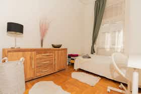 Private room for rent for HUF 143,070 per month in Budapest, Teréz körút