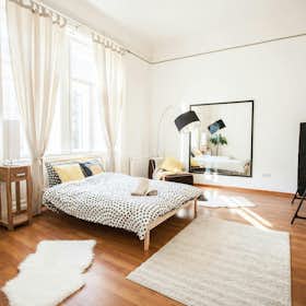Private room for rent for HUF 137,316 per month in Budapest, Teréz körút